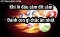 Đầu đuôi lô câm đánh con gì dễ trúng? Kinh nghiệm đánh lô theo đầu đuôi câm