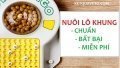 Nuôi lô khung là gì? Cách đánh lô khung miền Bắc bất bại chuẩn miễn phí