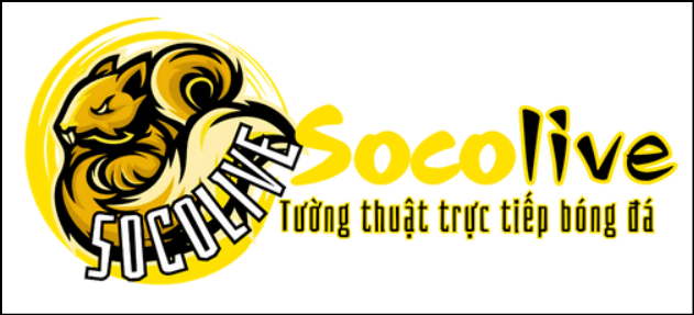 Hệ sinh thái tin tức bóng đá tại Socolive