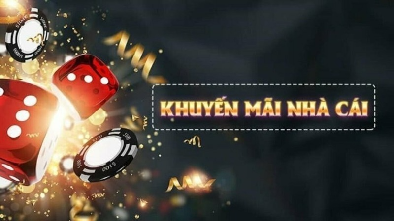 Chính sách ưu đãi dành cho thành viên mới
