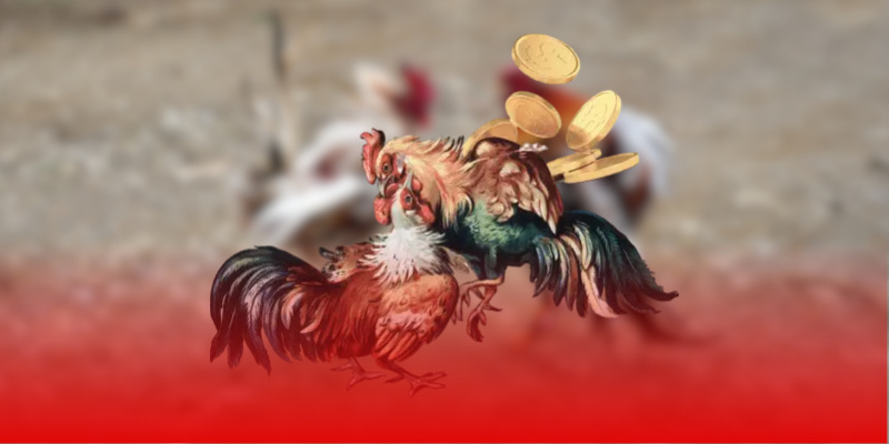 Ưu đãi hấp dẫn dành cho tất cả các hội viên Ưu đãi hấp dẫn dành cho tất cả các hội viên