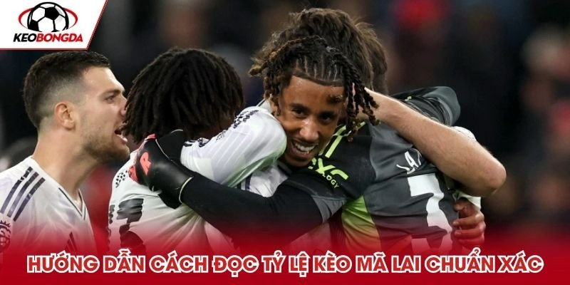 Hướng dẫn cách đọc tỷ lệ kèo mã lai chuẩn xác từ cao thủ Hướng dẫn cách đọc tỷ lệ kèo mã lai chuẩn xác từ cao thủ