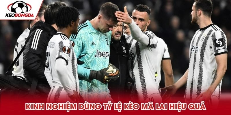 Kinh nghiệm dùng tỷ lệ kèo mã lai hiệu quả mà cao thủ cần nắm Kinh nghiệm dùng tỷ lệ kèo mã lai hiệu quả mà cao thủ cần nắm