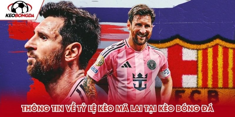 Thông tin cần nắm về tỷ lệ kèo mã lai tại Kèo Bóng Đá Thông tin cần nắm về tỷ lệ kèo mã lai tại Kèo Bóng Đá