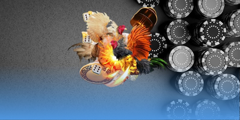 Các loại cửa cược phổ biến tại MCW Các loại cửa cược phổ biến tại MCW